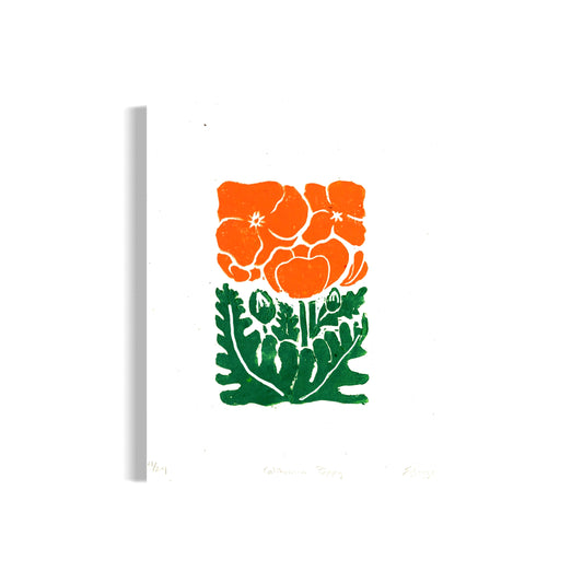 California Poppy