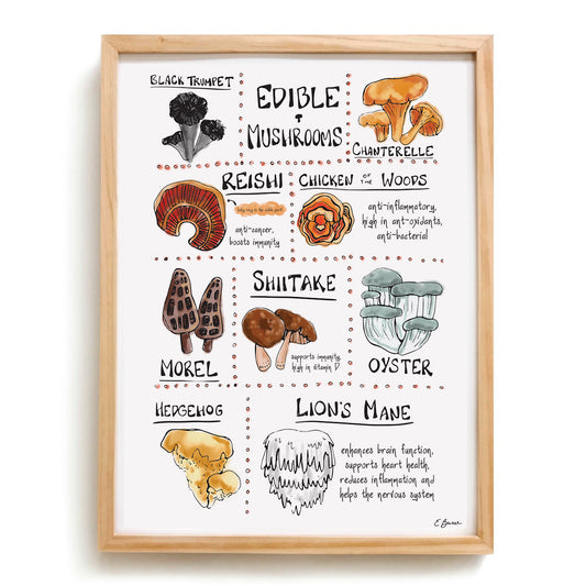 Edible Mushroom Chart