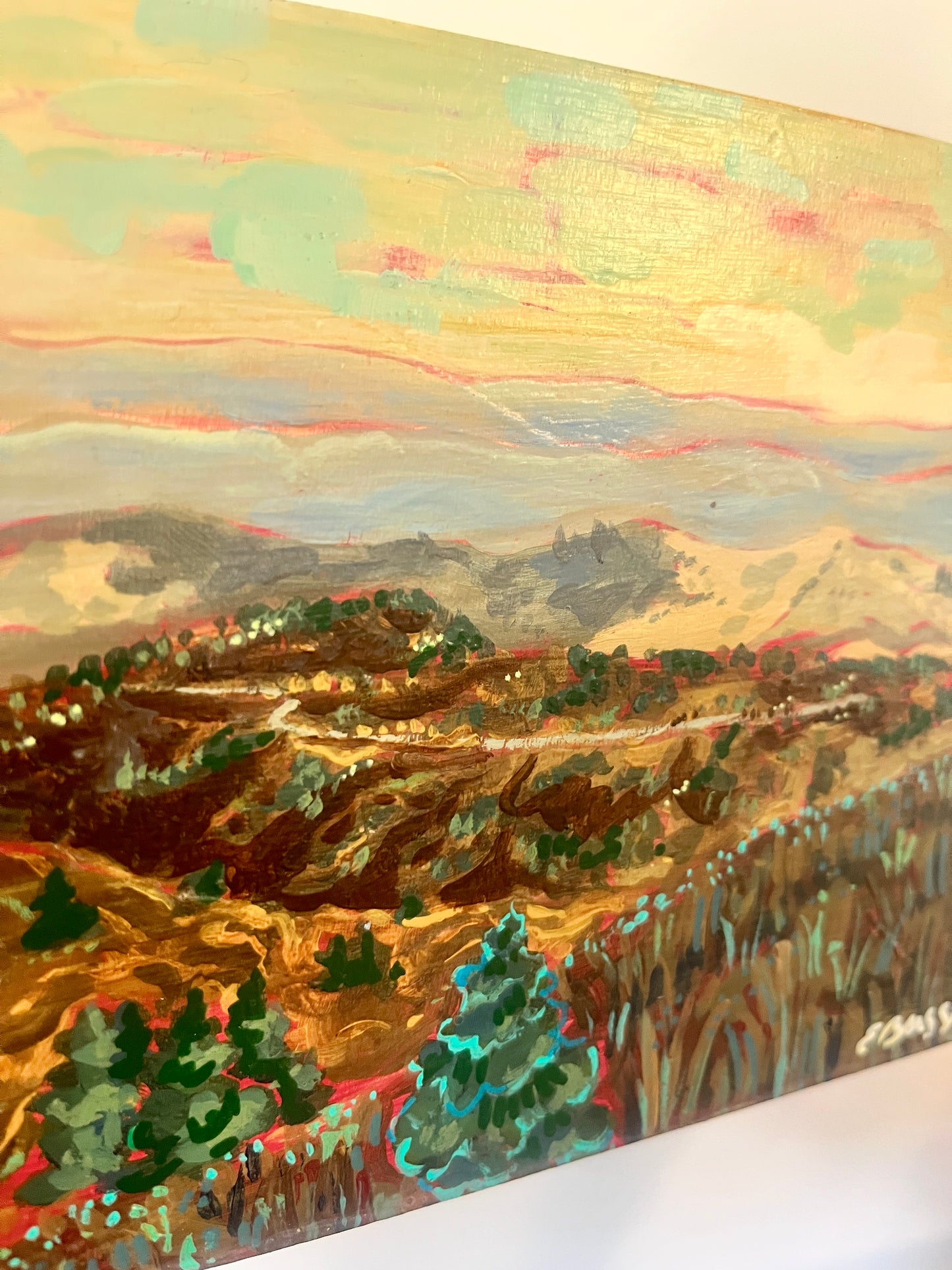 View from Black Balsam - Original Painting