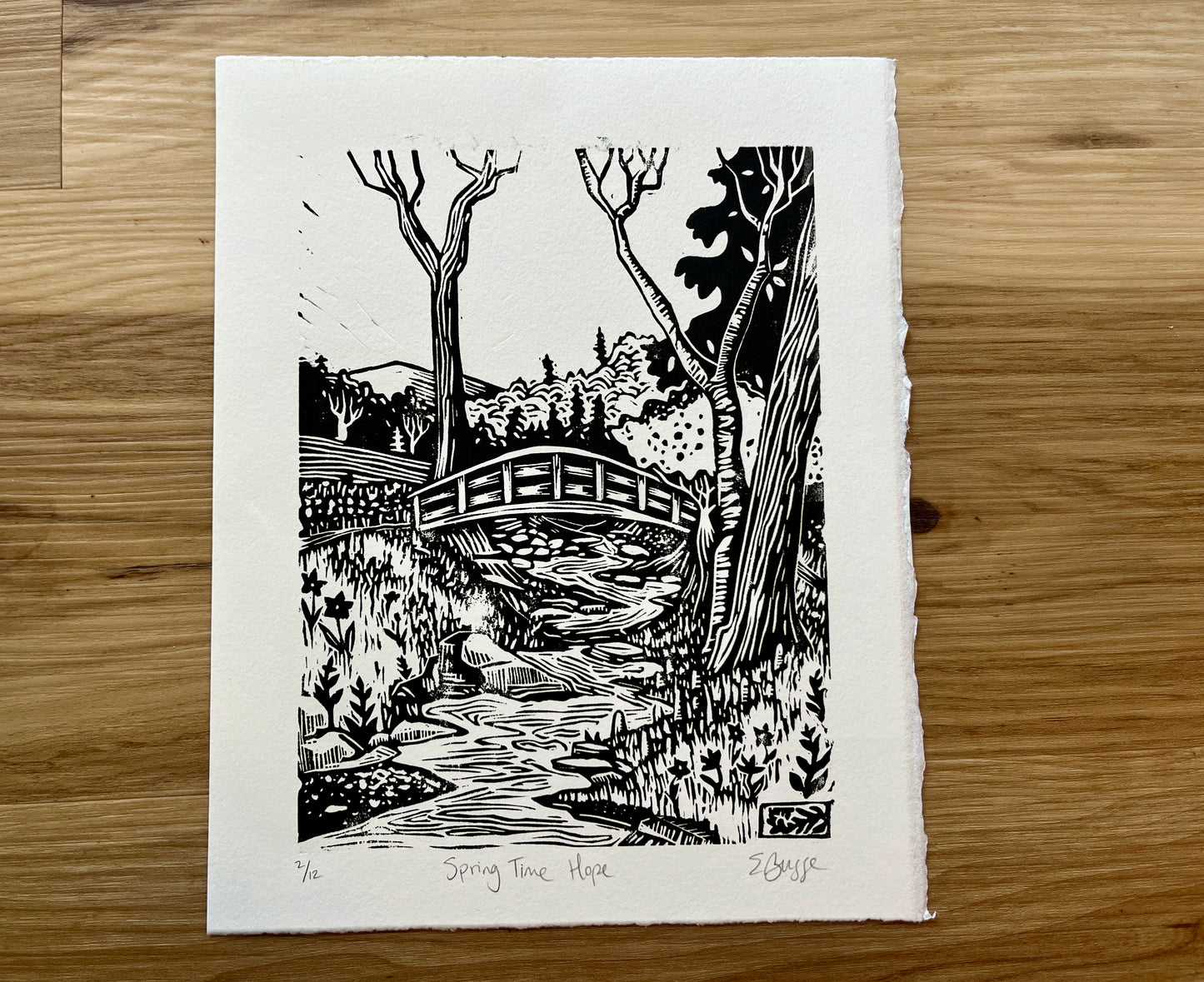 Spring Time Hope - linework