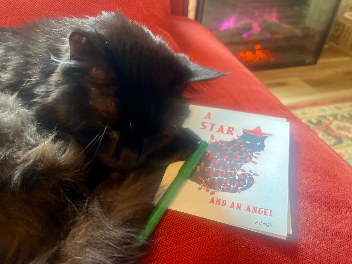 Holiday Cat Themed Card Set