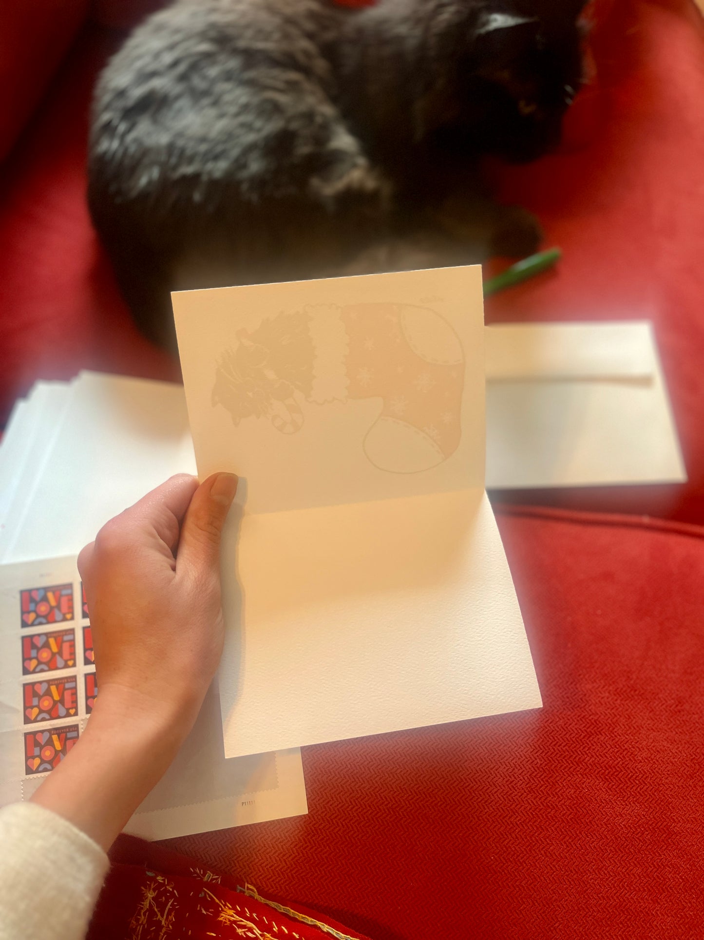 Holiday Cat Themed Card Set
