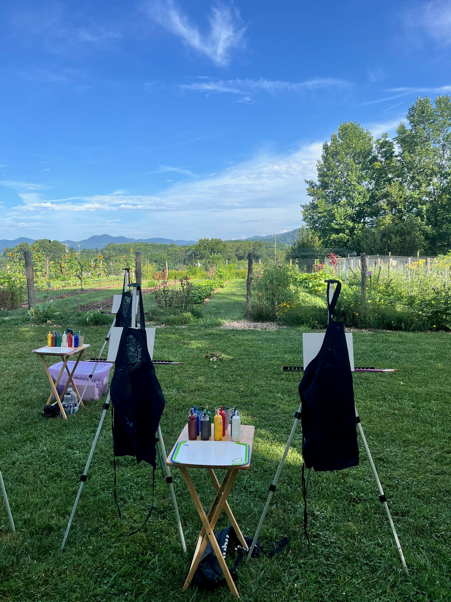 Private En Plein Air Painting Classes