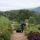 En Plein Air Painting Class - June 28, 2026