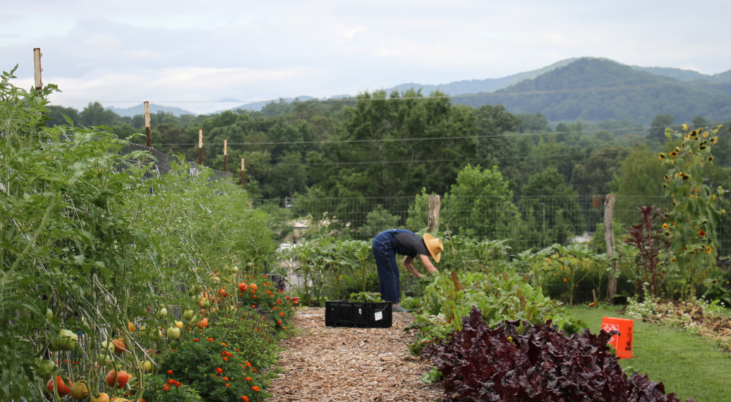 En Plein Air Painting Class - June 28, 2026