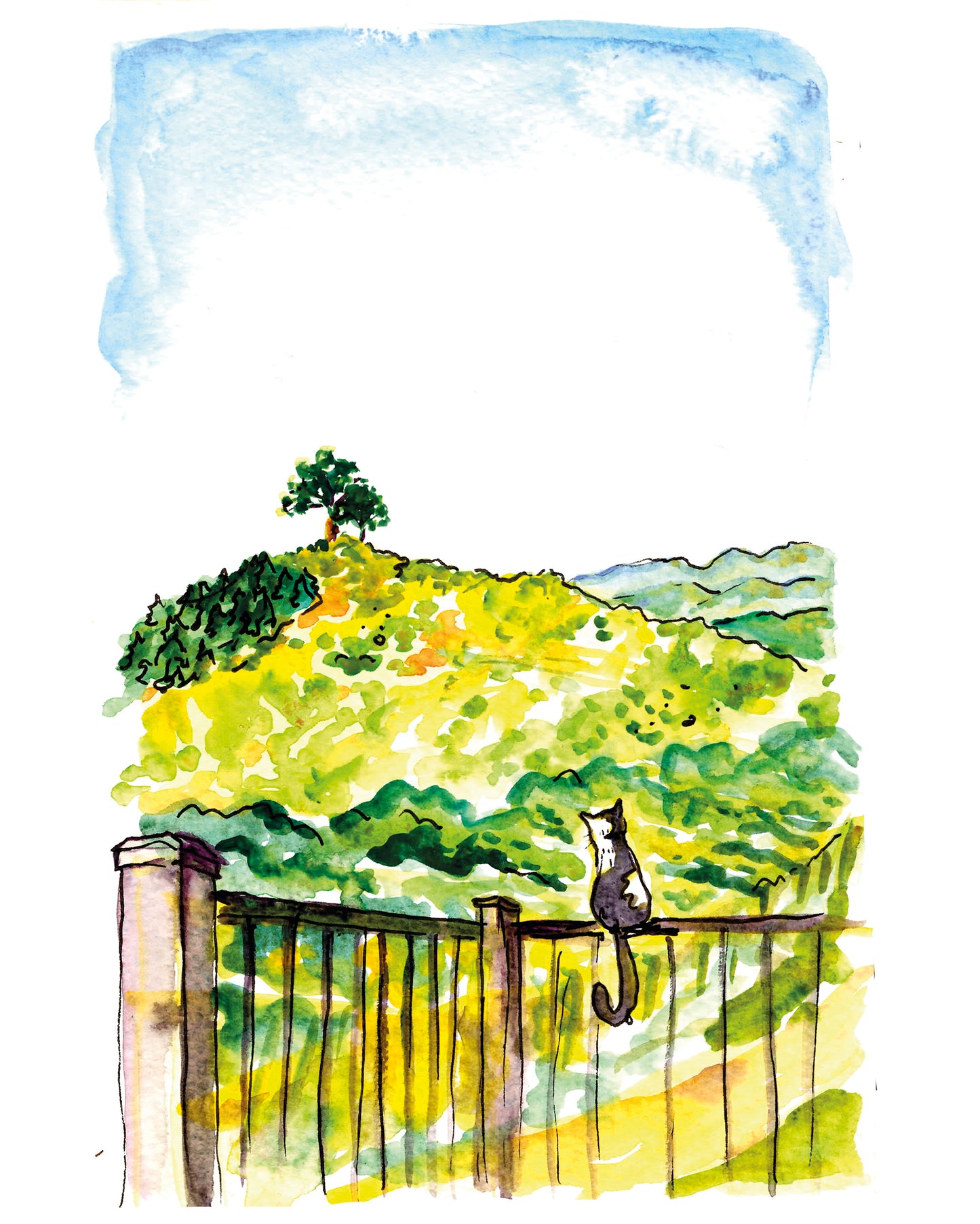 Winery Cat - Fine Art Print