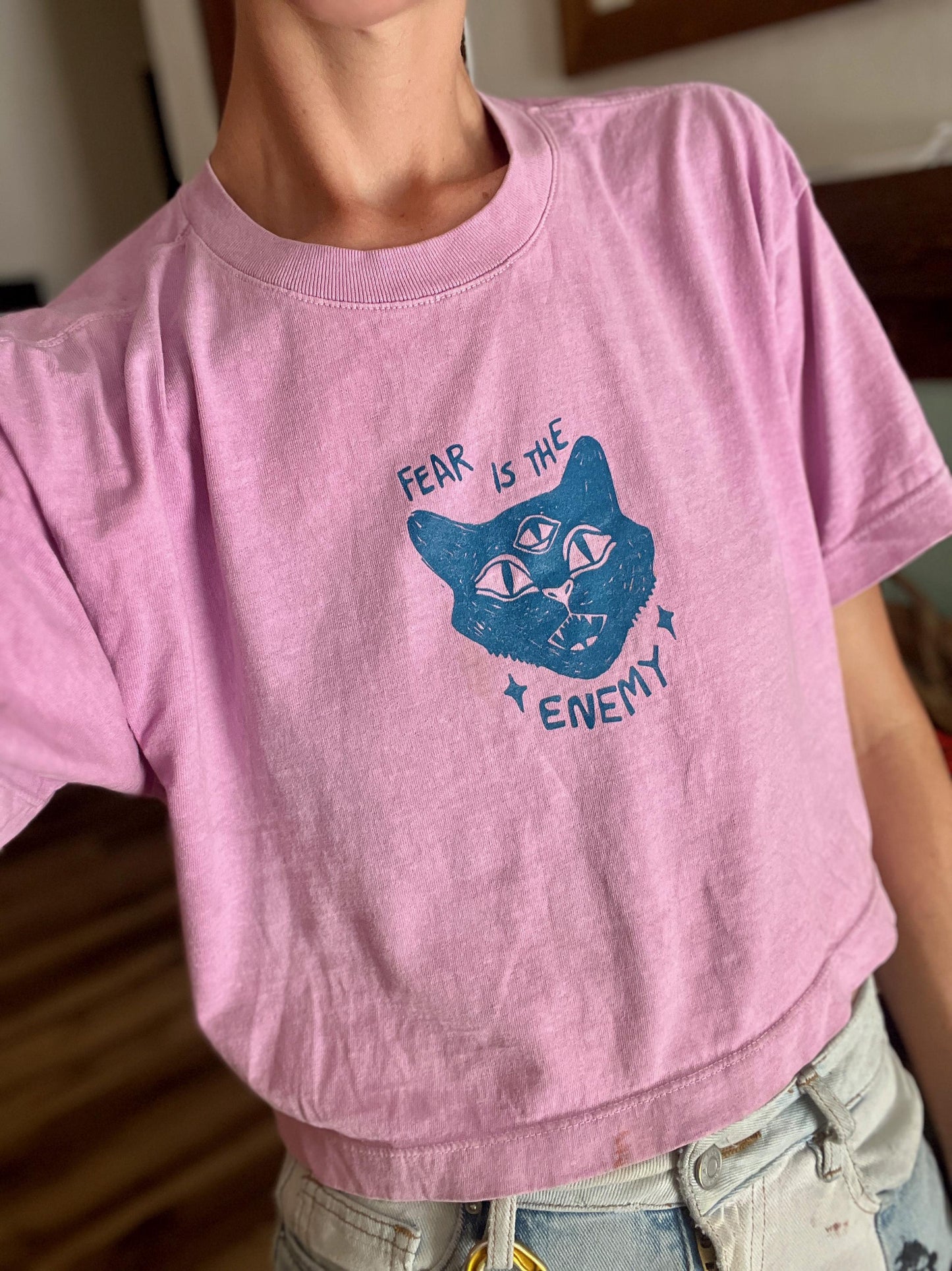 Fear is the Enemy Boxy Crop