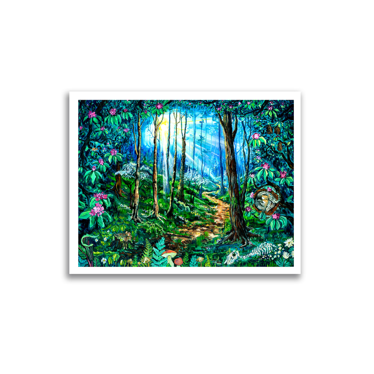 Sunlight Trail-Fine Art and Canvas Print