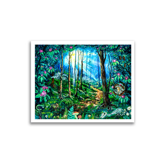 Sunlight Trail-Fine Art and Canvas Print