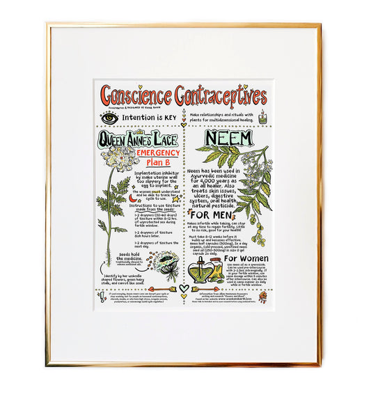 Conscious Contraceptives- Herbal Chart Illustration